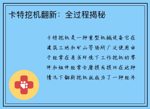 卡特挖机翻新：全过程揭秘